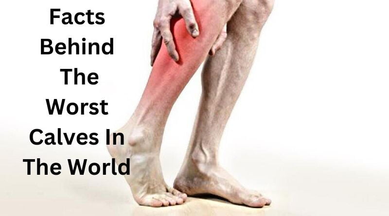 Facts Behind The Worst Calves In The World